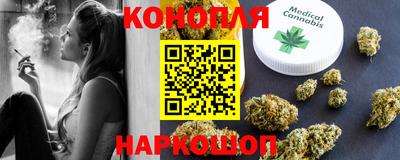 мдпв Пугачёв