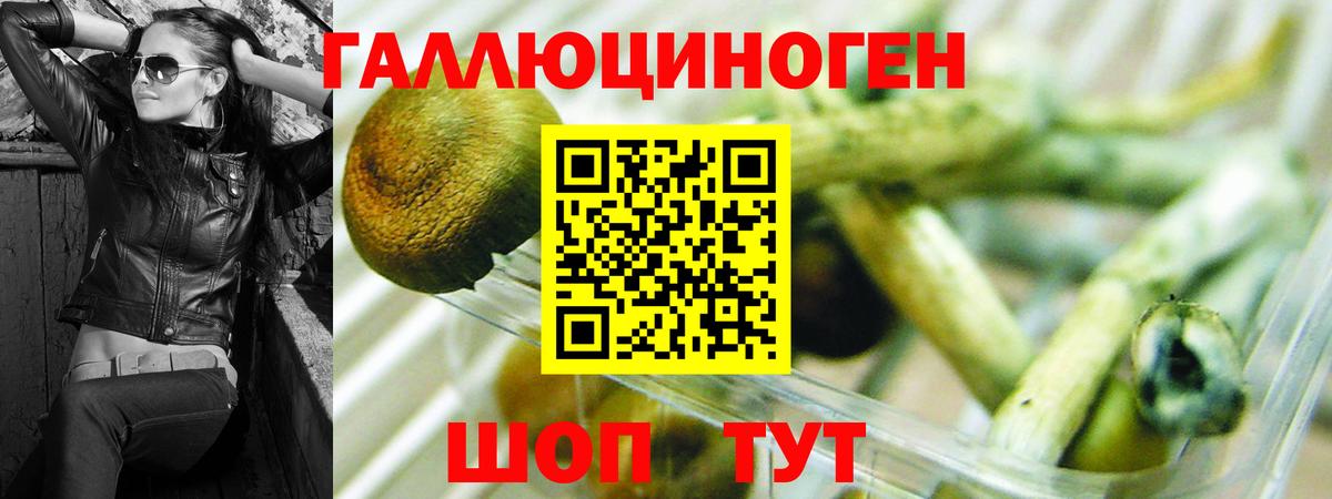 Галлюциногенные грибы Psilocybine cubensis  Вход с VPN  даркнет сайт  Галлюциногенные грибы GOLDEN TEACHER  Приморско-Ахтарск 